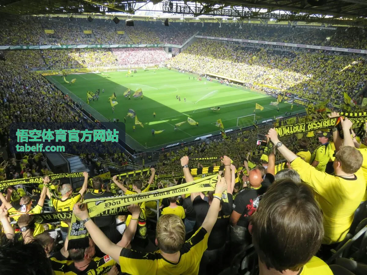 悟空体育官方网站CS2残局集锦封面