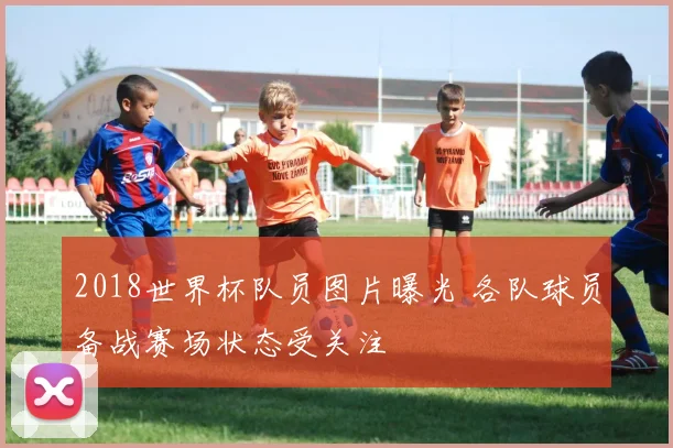 2018世界杯队员图片曝光 各队球员备战赛场状态受关注