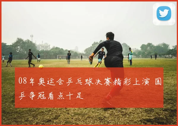 08年奥运会乒乓球决赛精彩上演 国乒争冠看点十足
