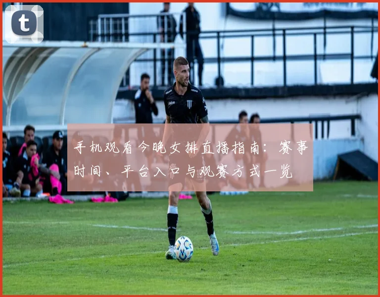 手机观看今晚女排直播指南：赛事时间、平台入口与观赛方式一览