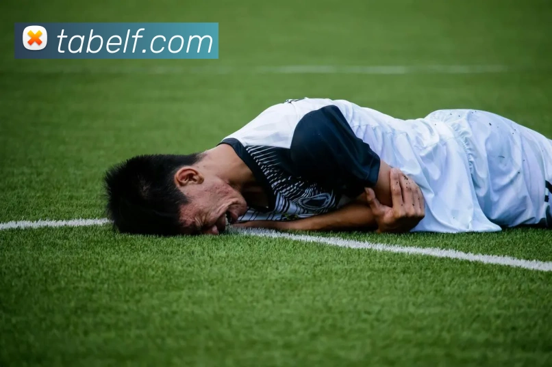 mksports官网登录APP 封面图